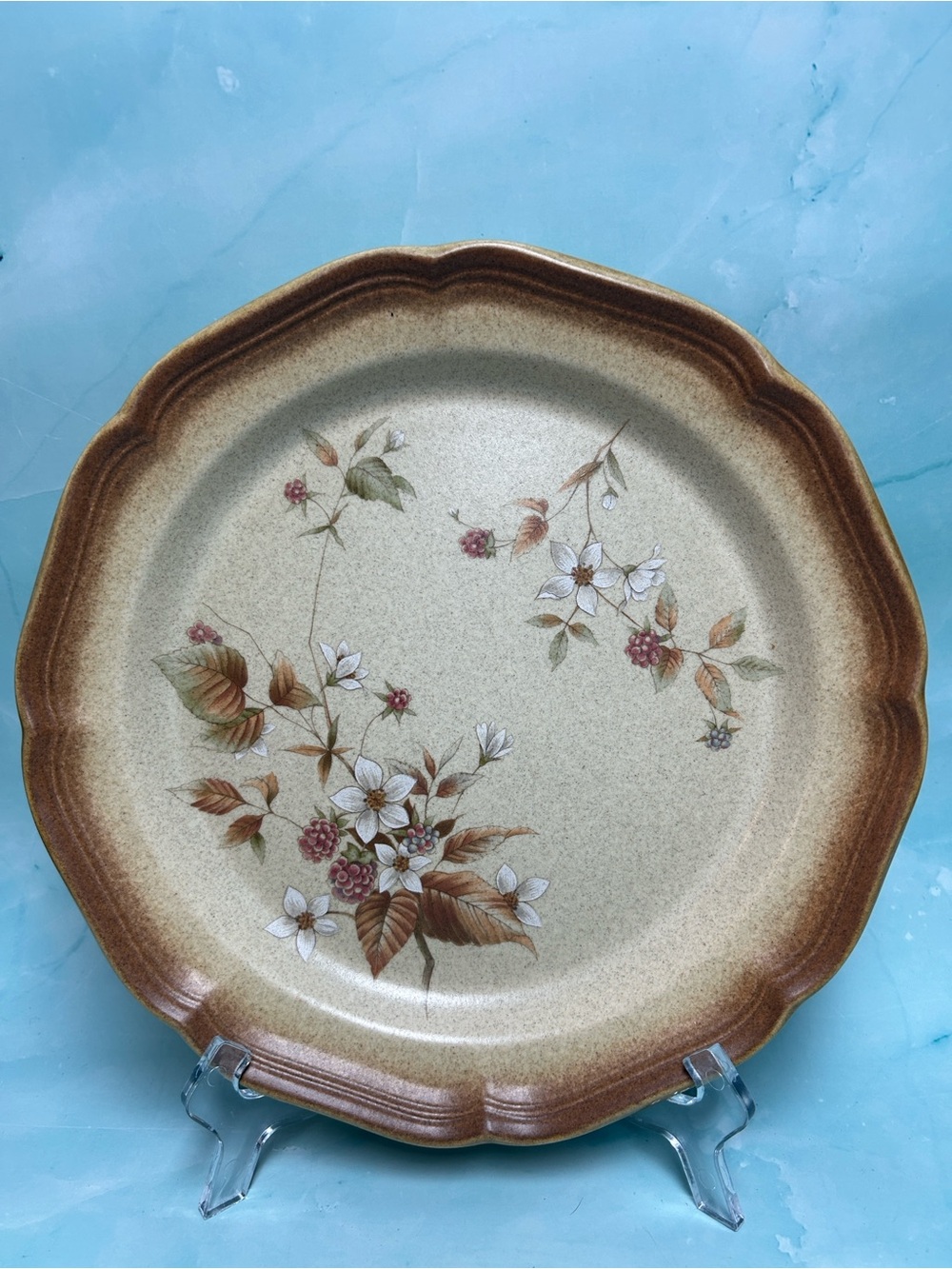 RARE MIKASA RASPBERRY BOUQUET WHOLE WHEAT E 8019 DISCONTINUED Dinnerware